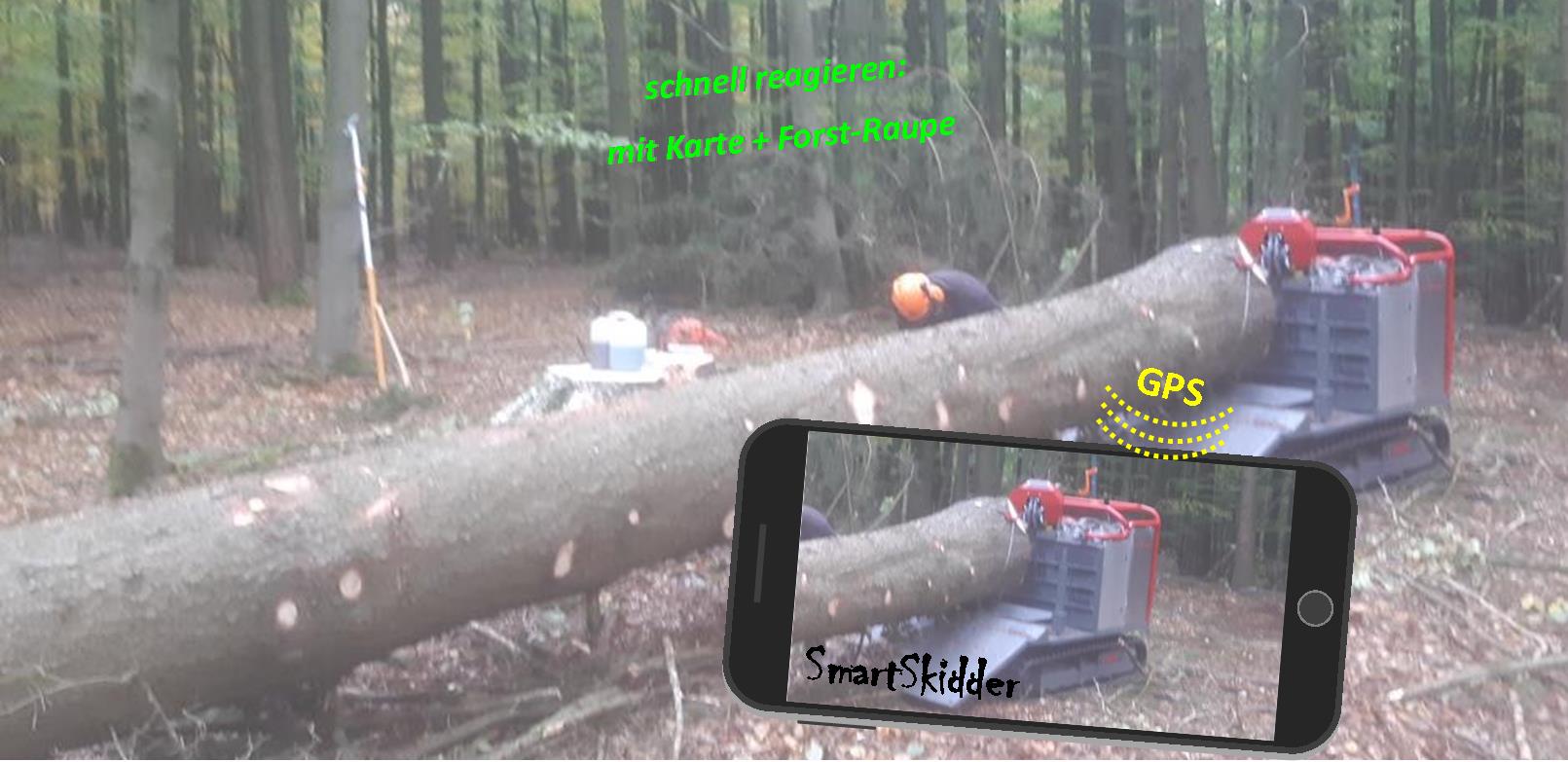 Käfernester, Wertholz und Einzelbäe schnell und preiswert aufarbeiten mit dem Smart Skidder